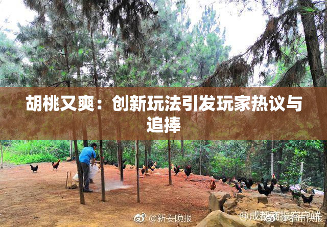 胡桃又爽：创新玩法引发玩家热议与追捧