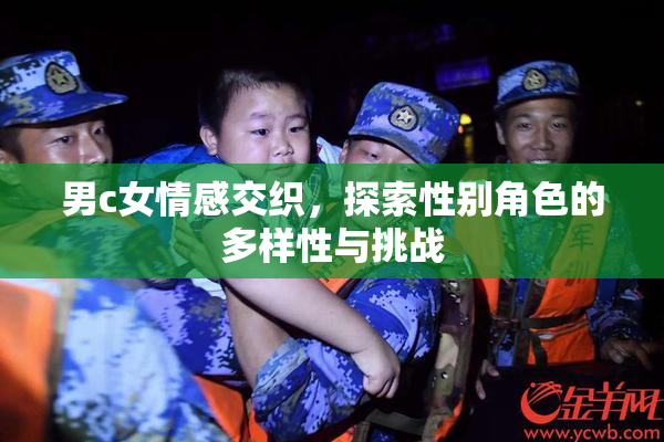 男c女情感交织，探索性别角色的多样性与挑战