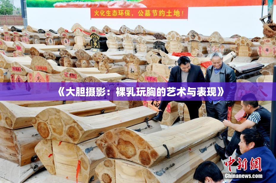 《大胆摄影：裸乳玩胸的艺术与表现》