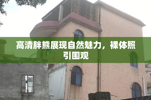 高清胖熊展现自然魅力，裸体照引围观