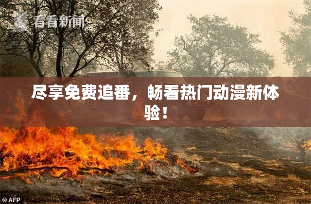 尽享免费追番，畅看热门动漫新体验！