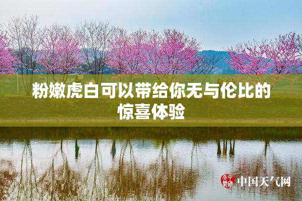粉嫩虎白可以带给你无与伦比的惊喜体验