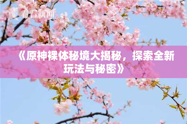 《原神裸体秘境大揭秘，探索全新玩法与秘密》