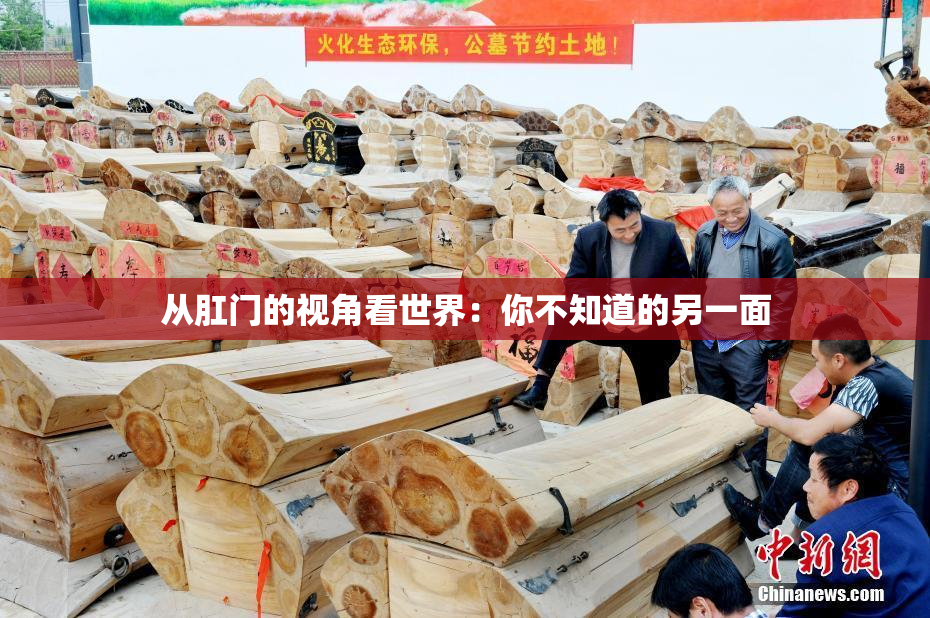 从肛门的视角看世界：你不知道的另一面