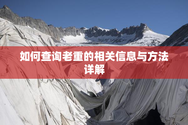 如何查询老重的相关信息与方法详解