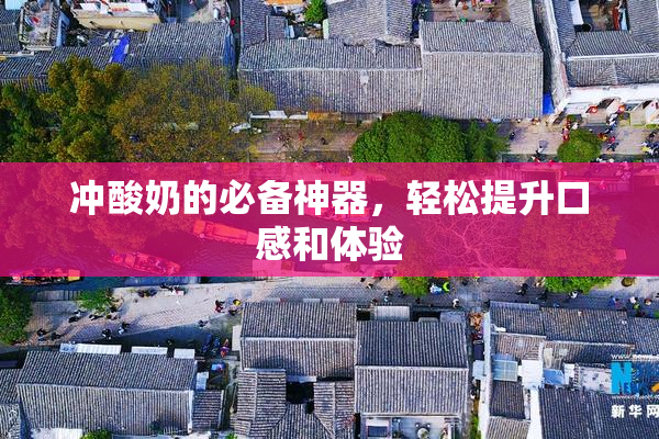 冲酸奶的必备神器，轻松提升口感和体验