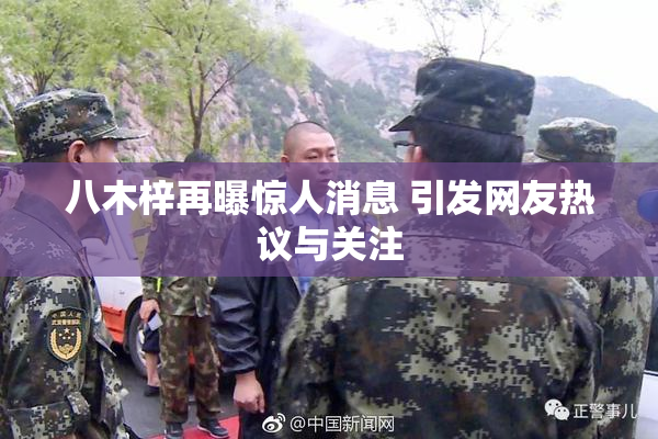 八木梓再曝惊人消息 引发网友热议与关注