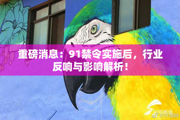重磅消息：91禁令实施后，行业反响与影响解析！
