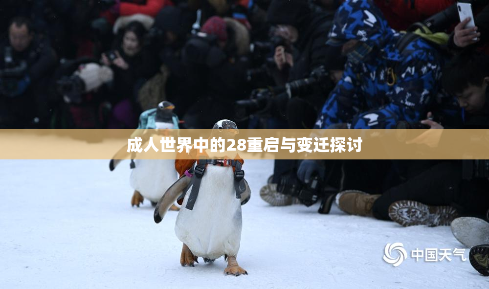 成人世界中的28重启与变迁探讨
