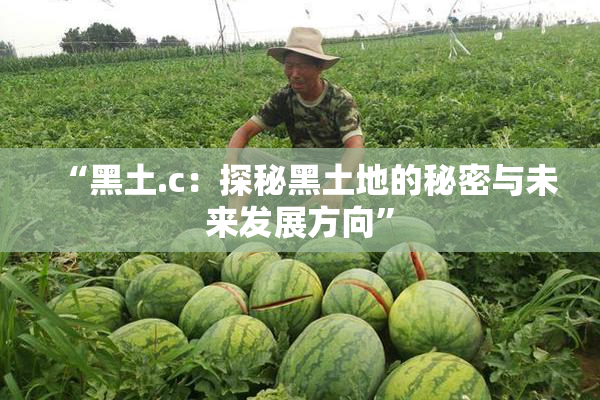“黑土.c：探秘黑土地的秘密与未来发展方向”