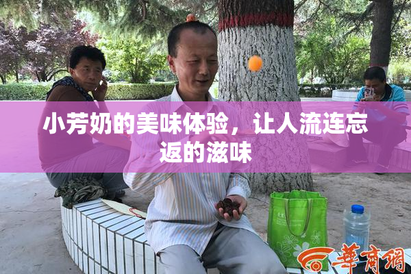 小芳奶的美味体验，让人流连忘返的滋味