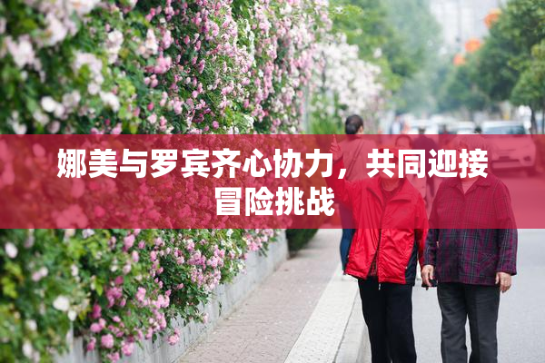 娜美与罗宾齐心协力，共同迎接冒险挑战
