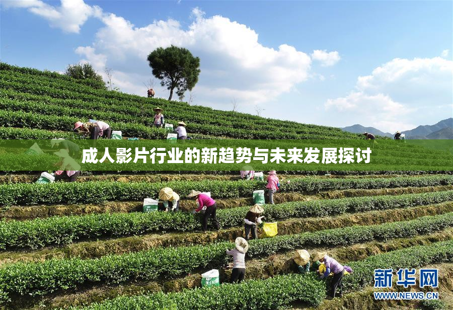 成人影片行业的新趋势与未来发展探讨