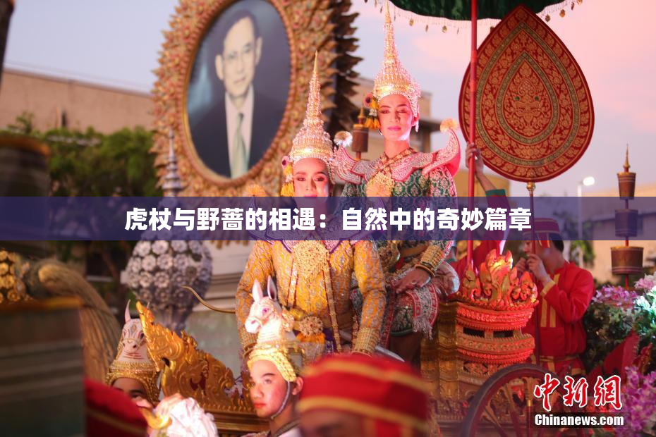 虎杖与野蔷的相遇：自然中的奇妙篇章