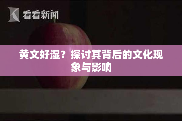 黄文好湿？探讨其背后的文化现象与影响