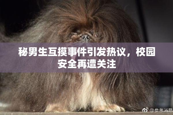 秘男生互摸事件引发热议，校园安全再遭关注