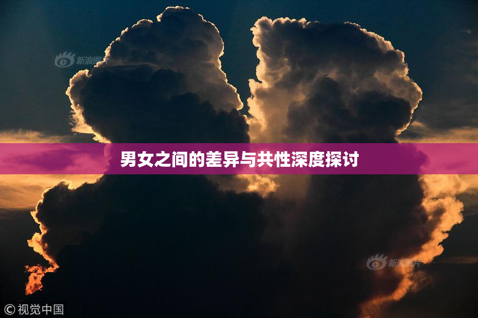 男女之间的差异与共性深度探讨