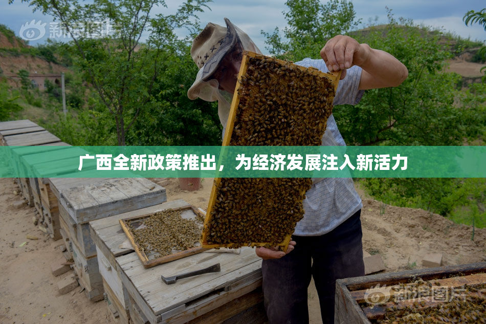 广西全新政策推出，为经济发展注入新活力