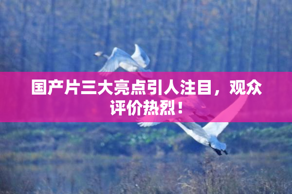 国产片三大亮点引人注目，观众评价热烈！