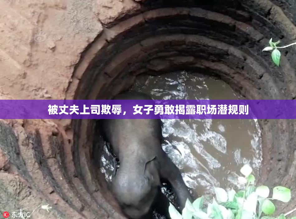 被丈夫上司欺辱，女子勇敢揭露职场潜规则