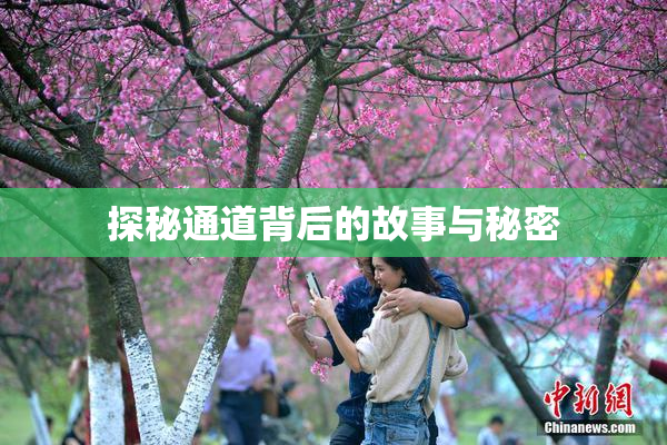 探秘通道背后的故事与秘密