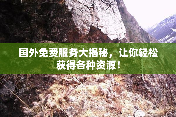国外免费服务大揭秘，让你轻松获得各种资源！