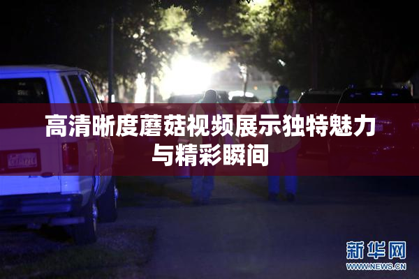 高清晰度蘑菇视频展示独特魅力与精彩瞬间