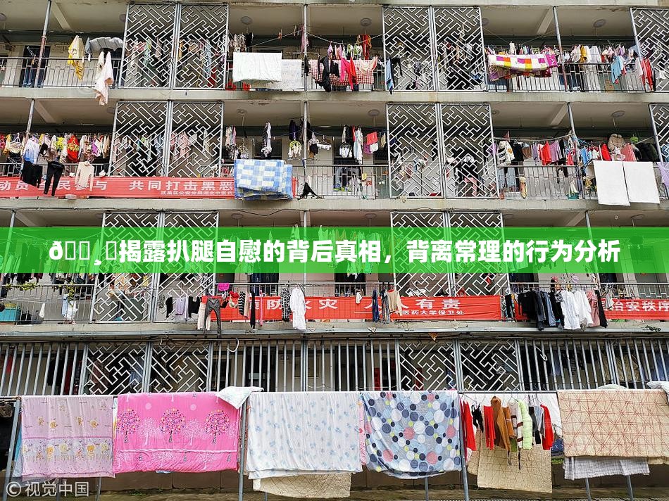 🌸‌揭露扒腿自慰的背后真相，背离常理的行为分析