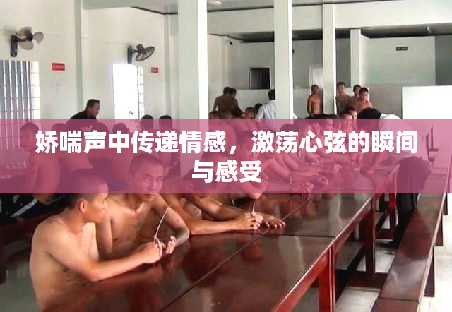 娇喘声中传递情感，激荡心弦的瞬间与感受