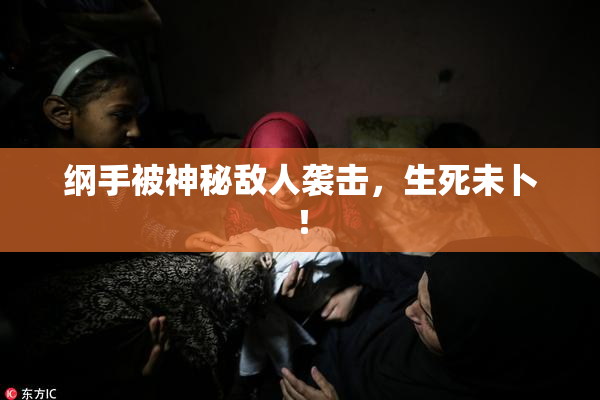 纲手被神秘敌人袭击，生死未卜！