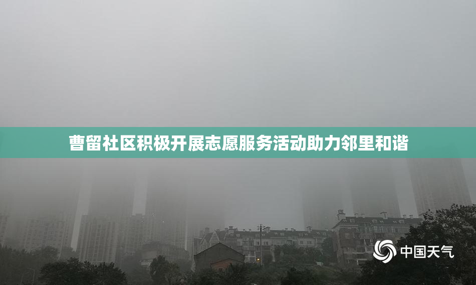曹留社区积极开展志愿服务活动助力邻里和谐