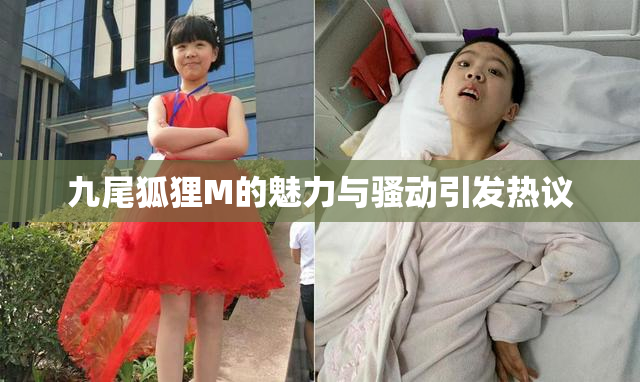 九尾狐狸M的魅力与骚动引发热议