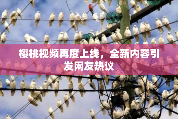 樱桃视频再度上线，全新内容引发网友热议
