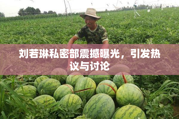 刘若琳私密部震撼曝光，引发热议与讨论