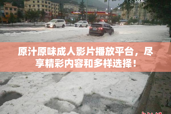 原汁原味成人影片播放平台，尽享精彩内容和多样选择！