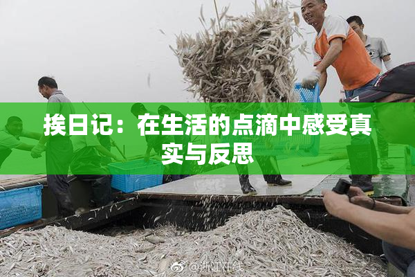挨日记：在生活的点滴中感受真实与反思