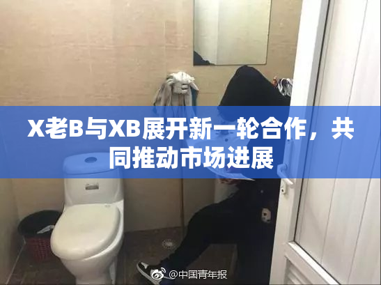 X老B与XB展开新一轮合作，共同推动市场进展