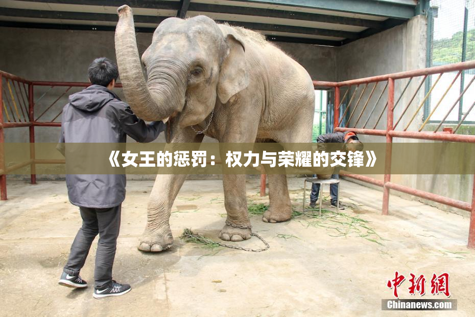 《女王的惩罚：权力与荣耀的交锋》