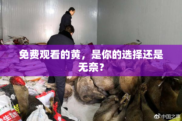 免费观看的黄，是你的选择还是无奈？