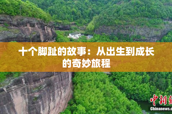 十个脚趾的故事：从出生到成长的奇妙旅程