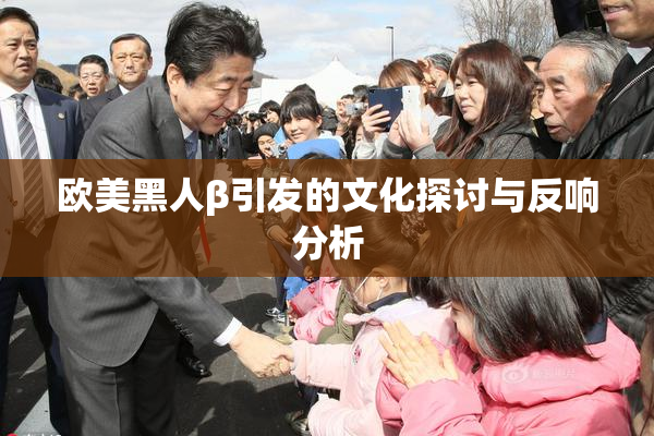 欧美黑人β引发的文化探讨与反响分析