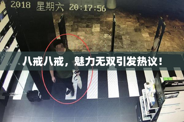 八戒八戒，魅力无双引发热议！