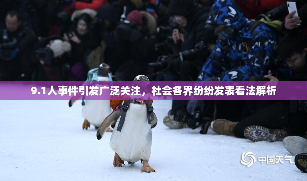 9.1人事件引发广泛关注，社会各界纷纷发表看法解析