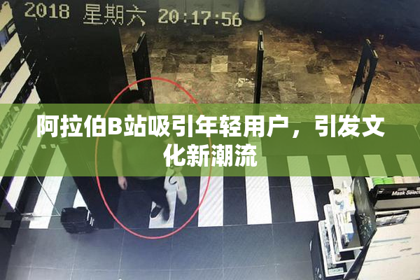 阿拉伯B站吸引年轻用户，引发文化新潮流