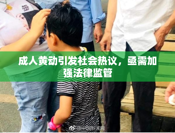 成人黄动引发社会热议，亟需加强法律监管