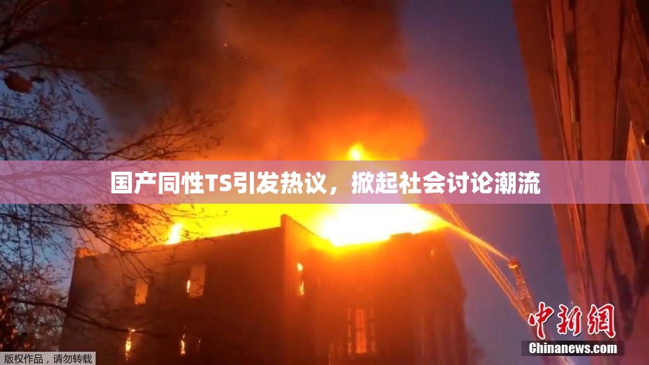 国产同性TS引发热议，掀起社会讨论潮流