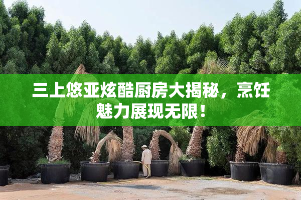 三上悠亚炫酷厨房大揭秘，烹饪魅力展现无限！