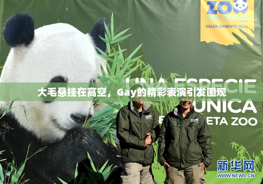 大毛悬挂在高空，Gay的精彩表演引发围观