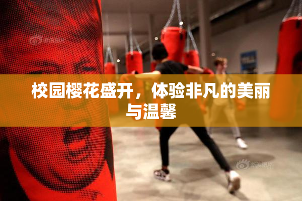校园樱花盛开，体验非凡的美丽与温馨