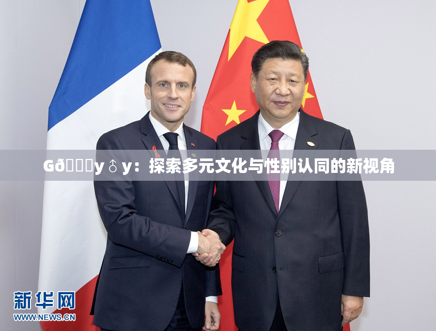 G🈚y♂y：探索多元文化与性别认同的新视角